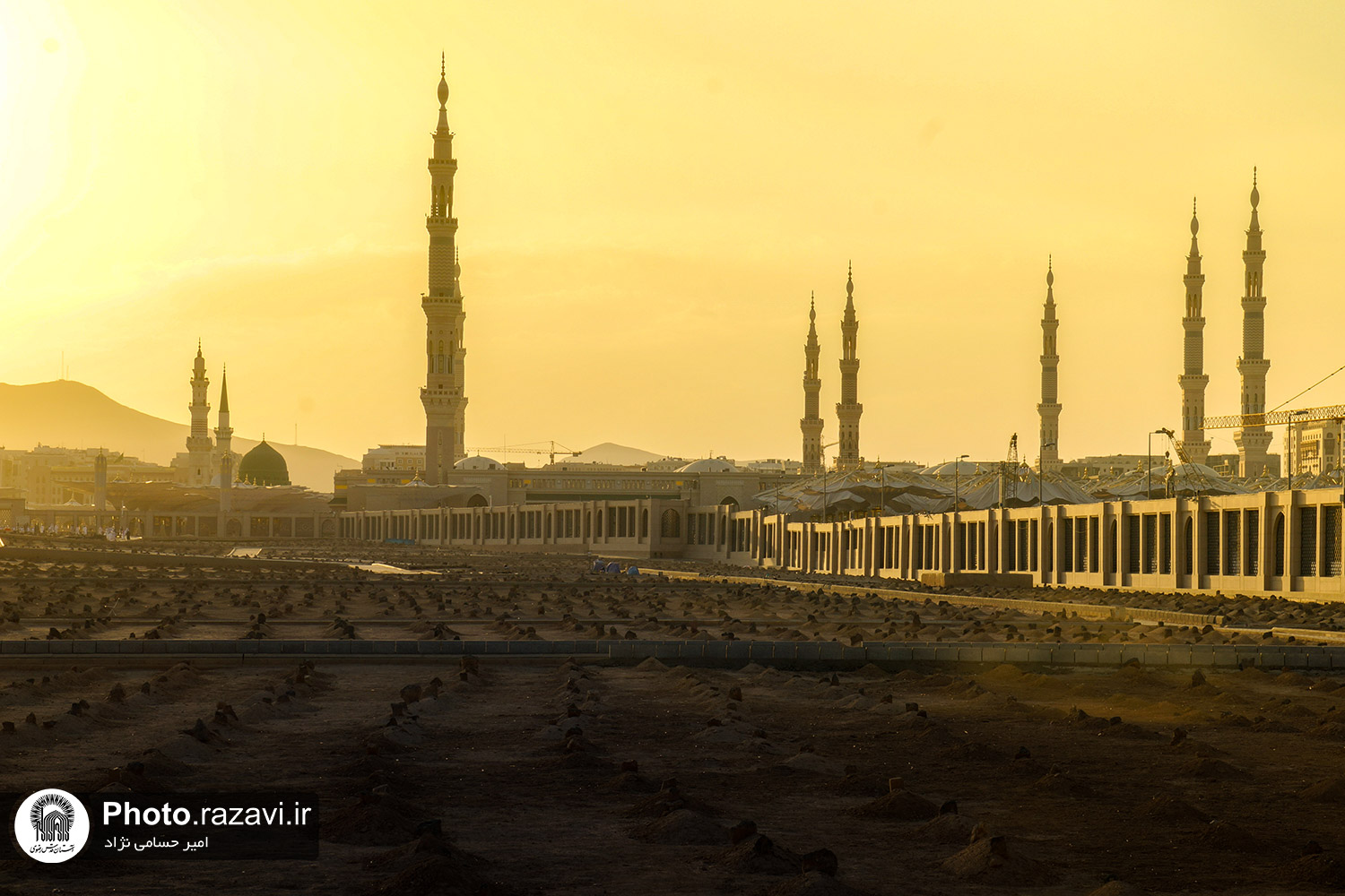 «بقیع ِ غریب» در قاب تصاویر