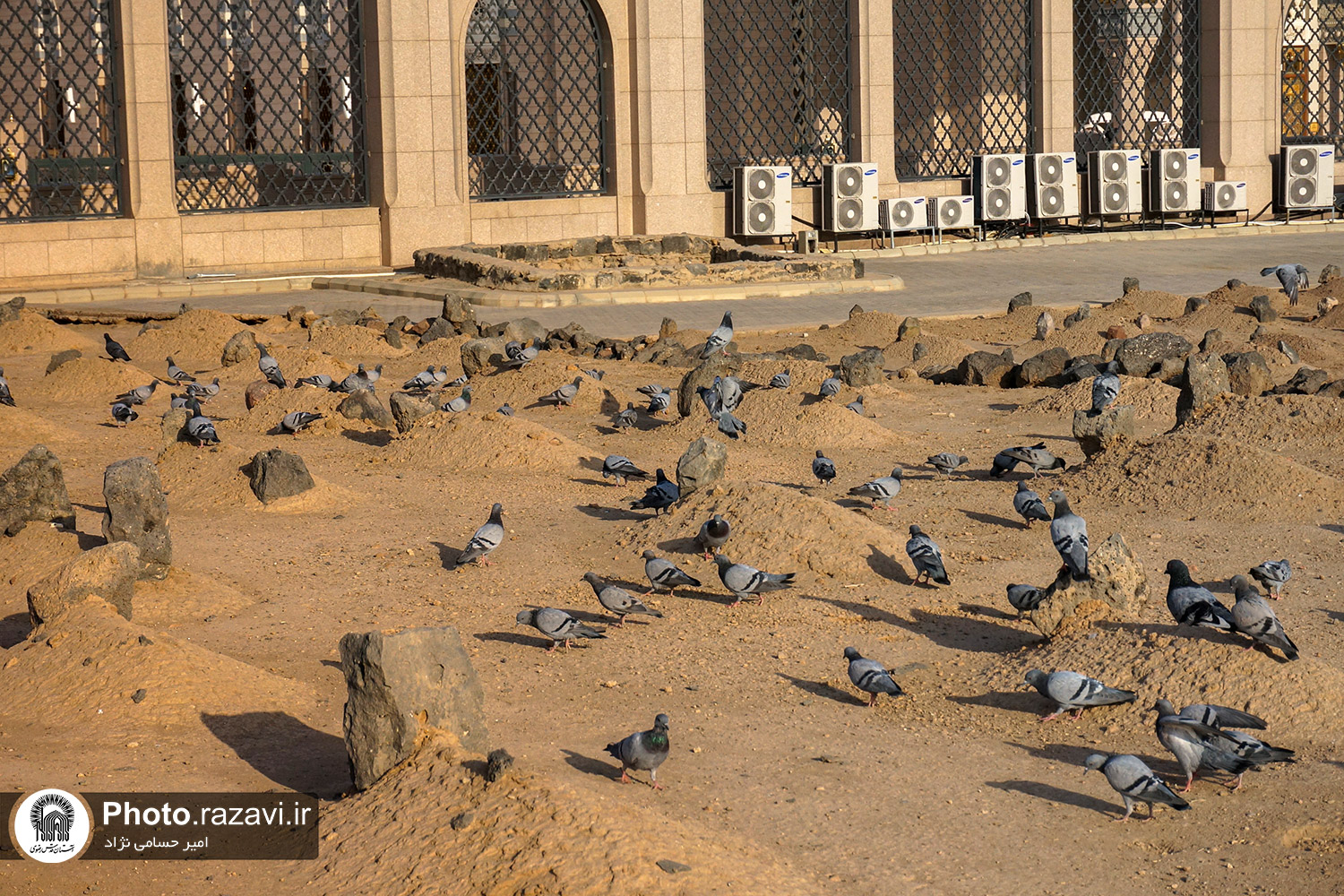 «بقیع ِ غریب» در قاب تصاویر