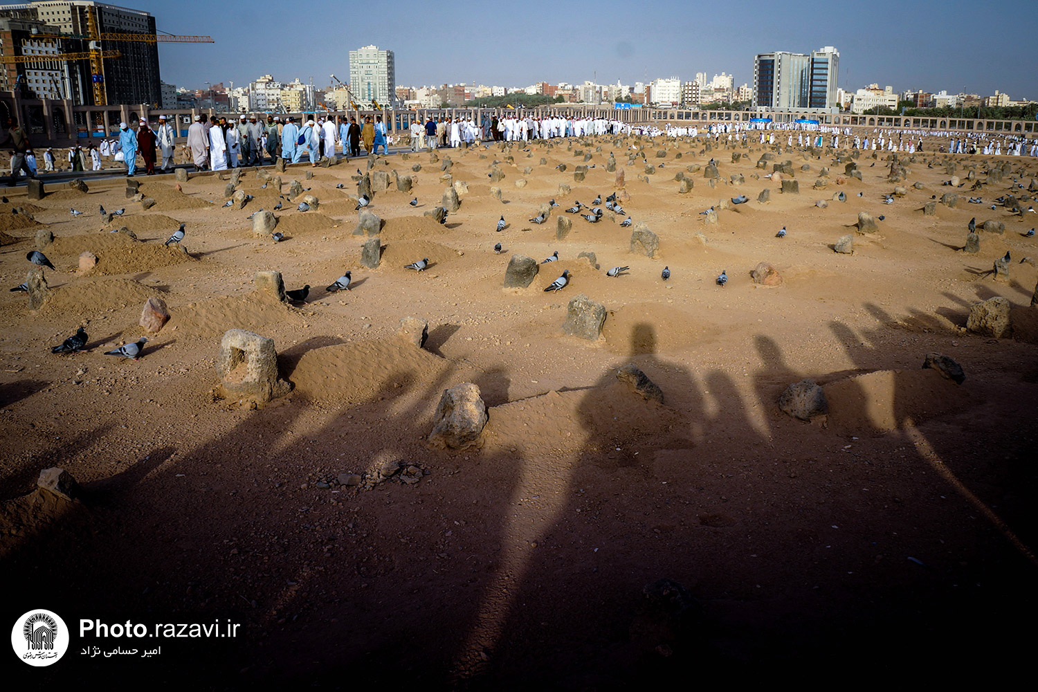 «بقیع ِ غریب» در قاب تصاویر