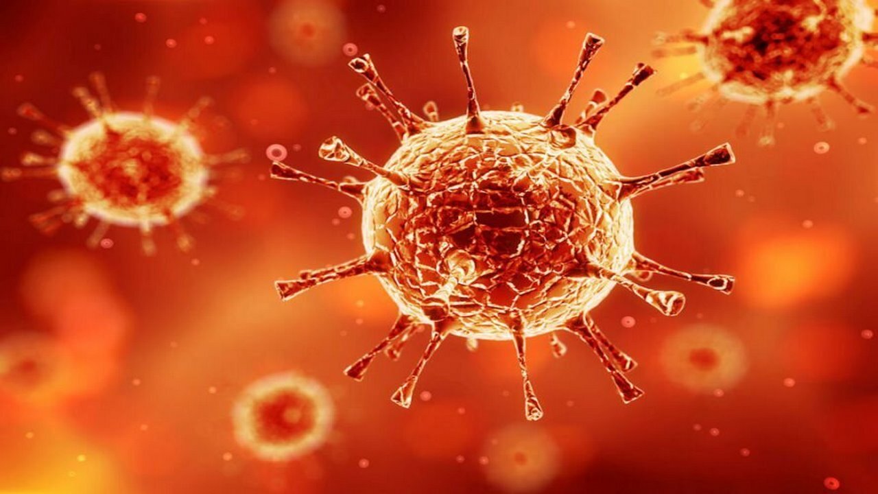 شناسایی ۲۰ مورد جدید مبتلا به کرونا ویروس در ایلام