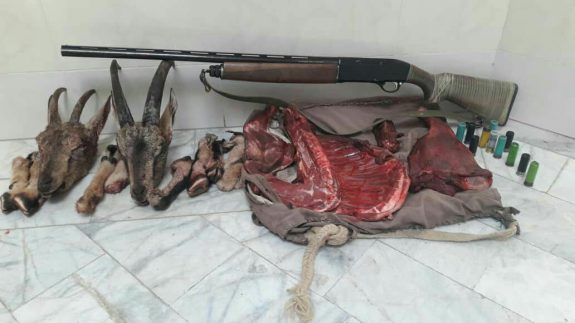 شکارچی غیر مجاز در نایین دستگیر شد
