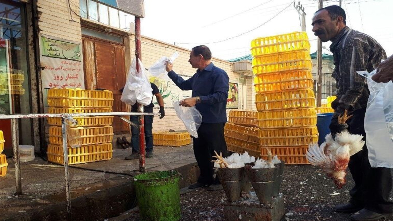 ممنوعیت خرید و فروش مرغ زنده در مهاباد