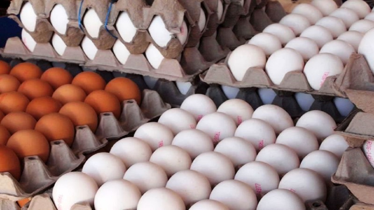 کشف یک محموله تخم مرغ احتکار شده در شهرستان مهران