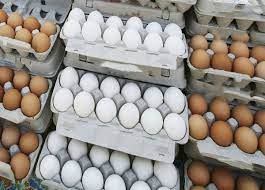 عرضه تخم‌مرغ به قیمت مصوب ۱۷ هزار تومان در اردبیل