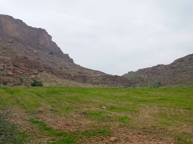 کیفرخواست ابطال واگذاری زمینهای دولتی گرگان به افراد خاص صادر شد
