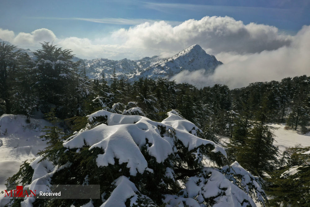 زیبایی کوهستان های برفی لبنان