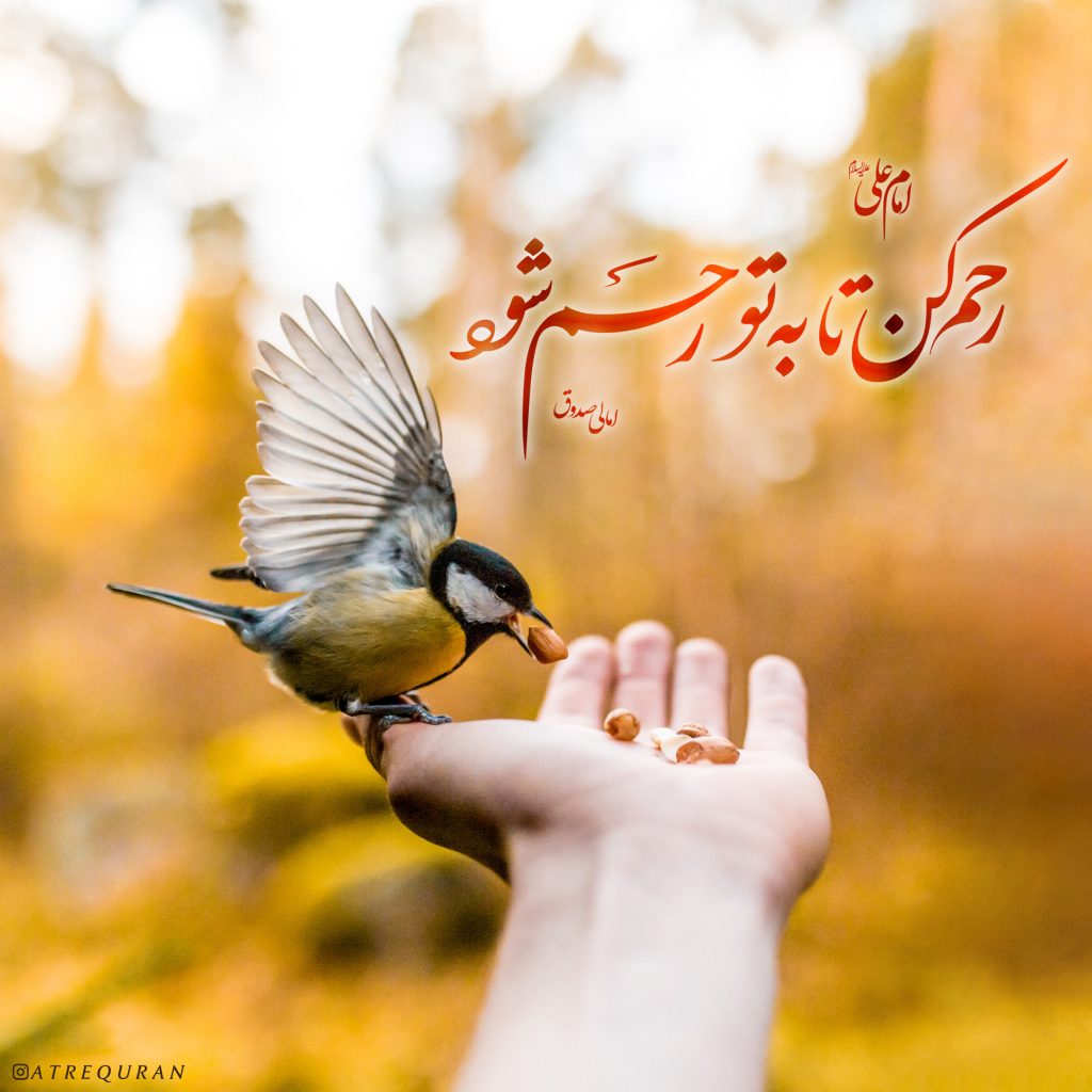 طرح/ رحم کن، تا به تو رحم شود