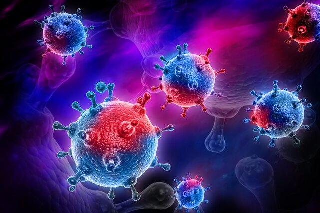 سیستم ایمنی بدن در برابر ویروس‌ها چگونه عمل می‌کند؟