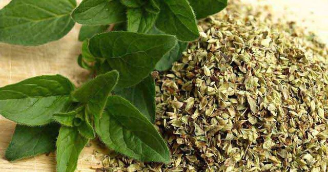 اسانسی برای نابودی سلول‌های سرطان کولون