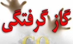 مسمومیت با گاز مونوکسیدکربن در گندمان