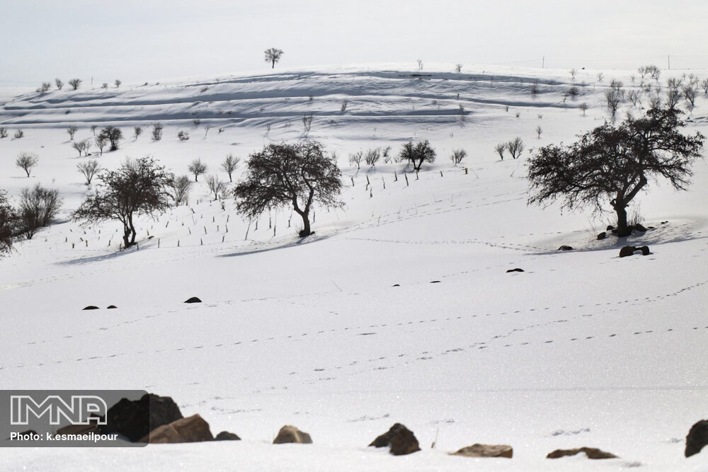 طبیعت زیبای برفی روستایی در آذربایجان شرقی