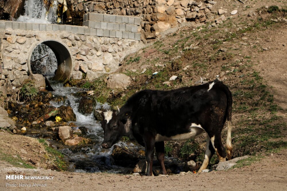 روستای زیبای «امافت» در مازندران