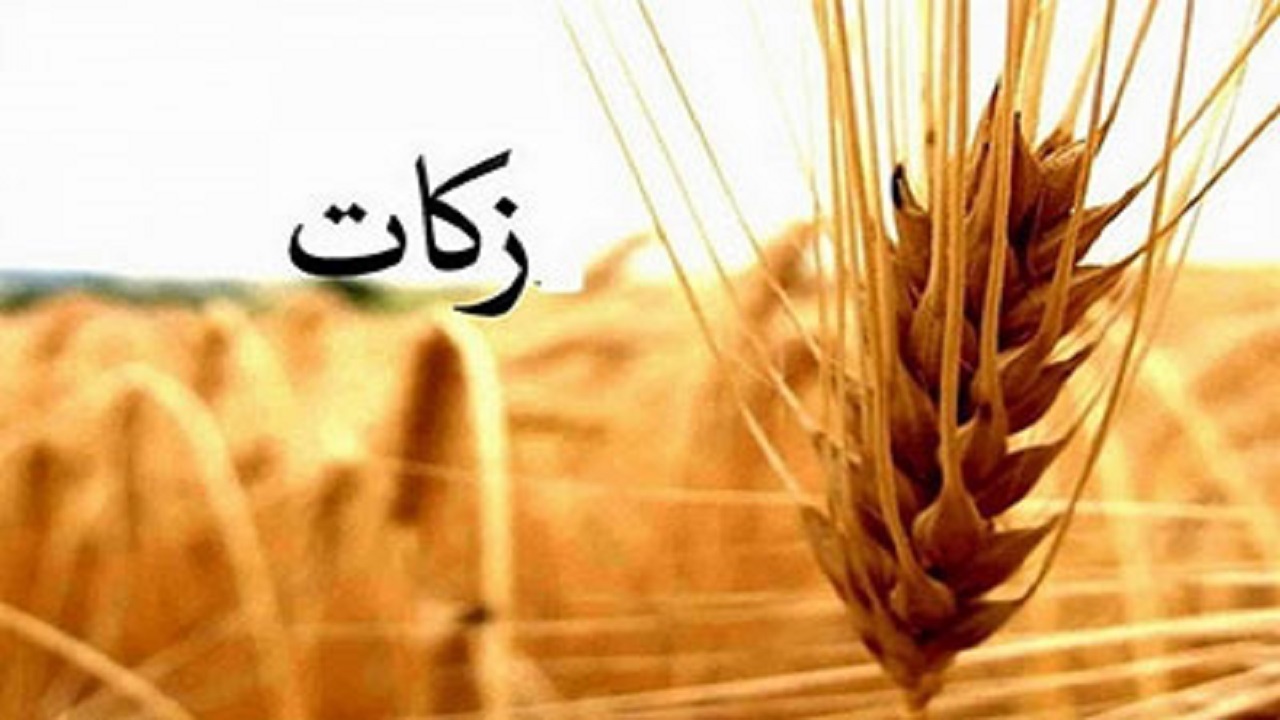 افزایش ۲ برابری پرداخت زکات در استان سمنان