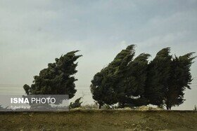تندباد با سرعت ۱۰۴ کیلومتر نطنز را در نوردید