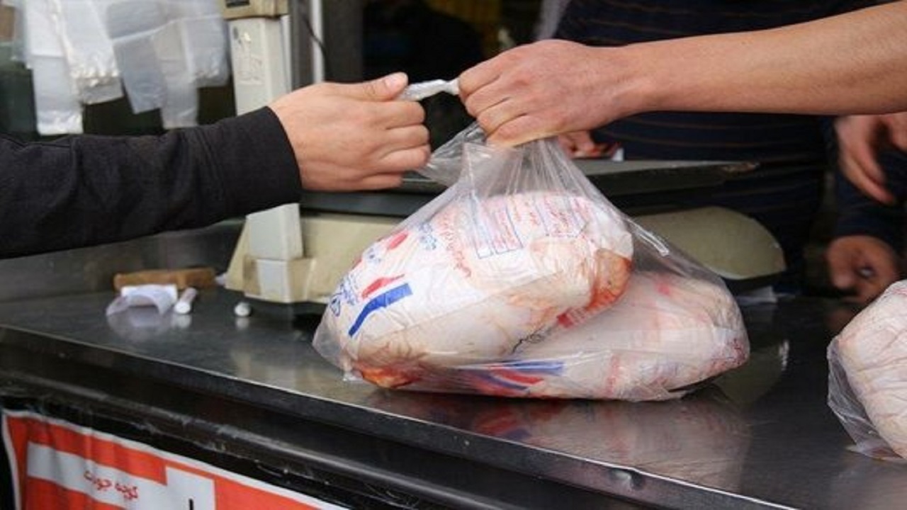 فروش مرغ با قیمت بالای ۲۴ هزار تومان در بوشهر ممنوع است