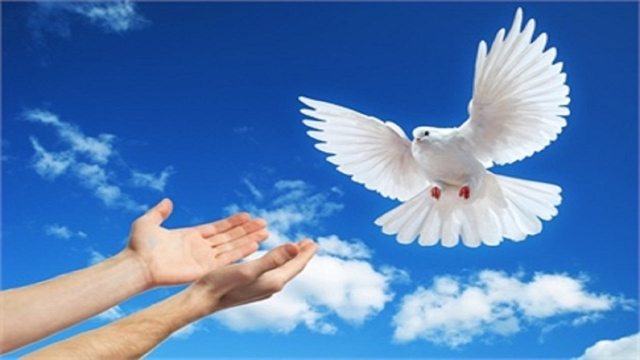 آزادی ۳۰ مددجوی جرایم غیرعمد و بدهکار مالی در البرز