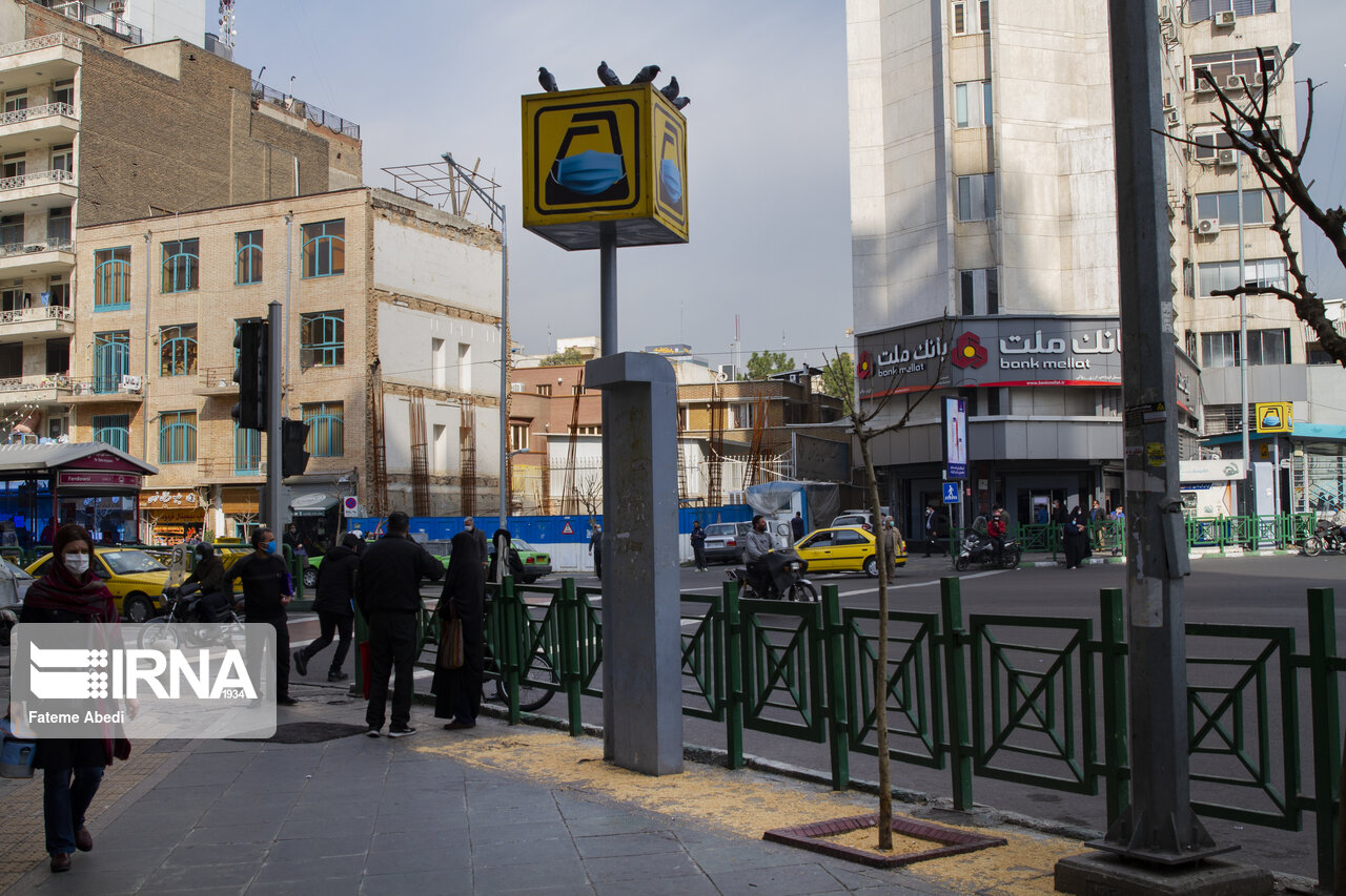 مهربانی با پرندگان در سرمای زمستان