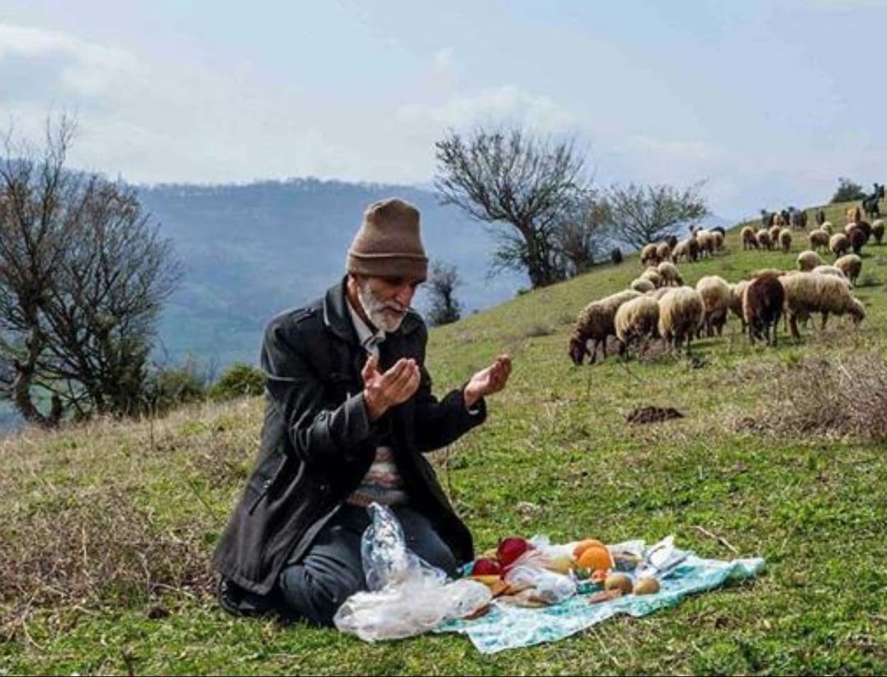 داستانک/ آنچه خلاصه دانشهاست یاد گرفته ام