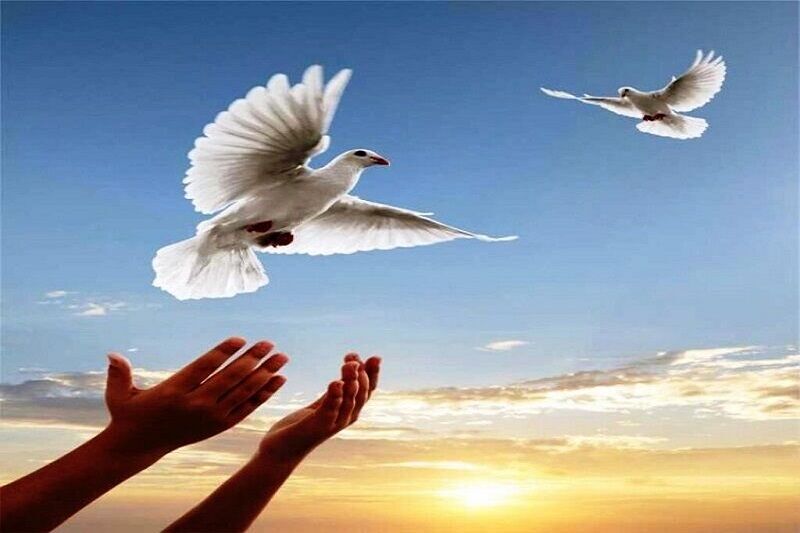 آزادی ۱۴۸ زندانی جرایم غیرعمد در هرمزگان با همت خیران