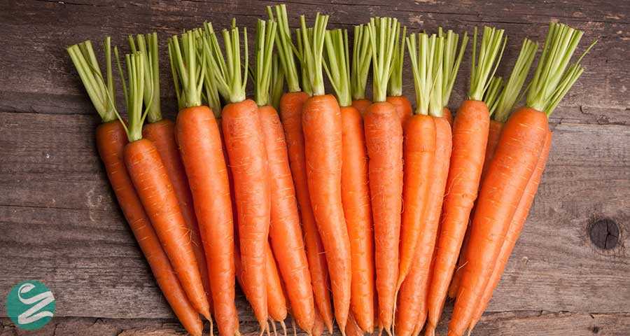 12 خاصیت مهم هویج برای بدن