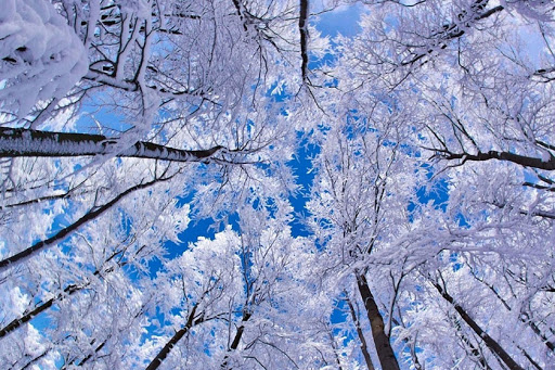 بارش باران و برف در ۲۲ استان کشور