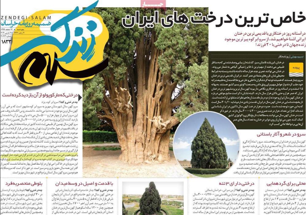 ویژه نامه  زندگی سلام
