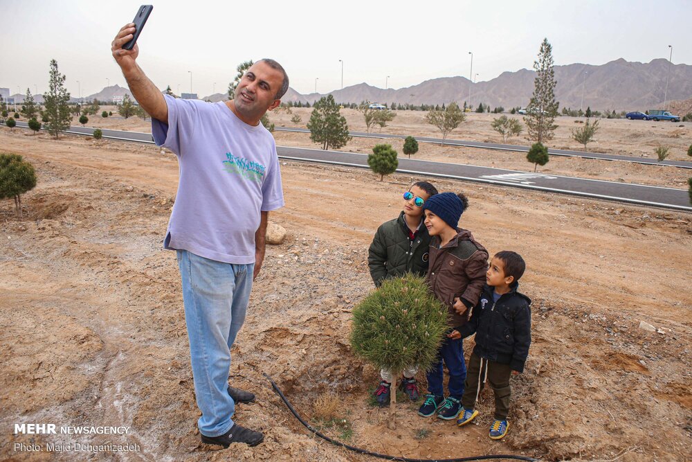عکس/ «هر کودک یک نهال» طرح درختکاری امسال یزدی‌ها