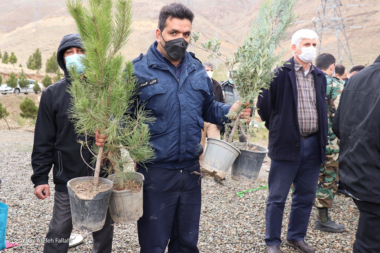 عکس/ کاشت نهال به مناسبت روز درختکاری