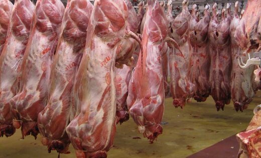 فروش قسطی گوشت واقعیت دارد؟
