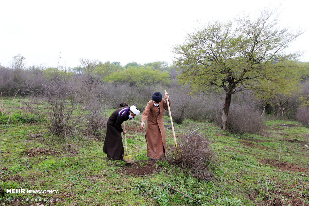 عکس/ درختکاری در طبیعت هزارپیچ گرگان