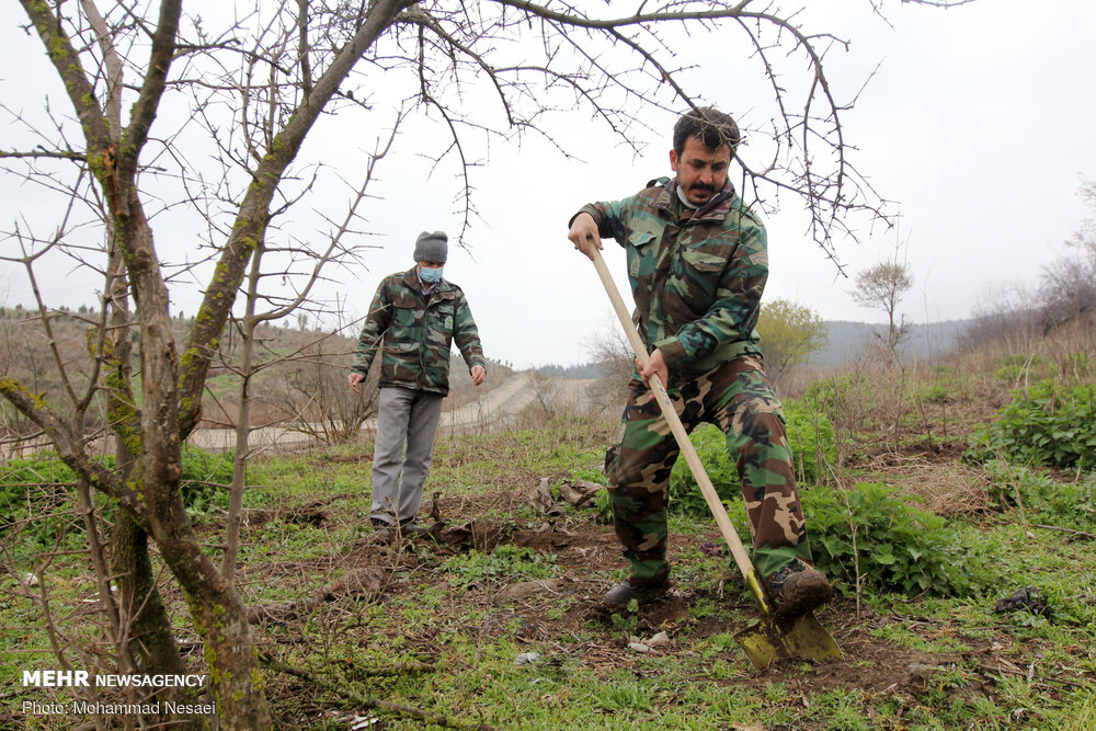 عکس/ درختکاری در طبیعت هزارپیچ گرگان