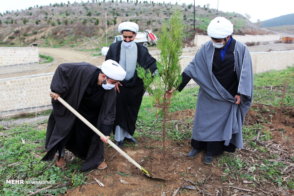 عکس/ درختکاری در طبیعت هزارپیچ گرگان