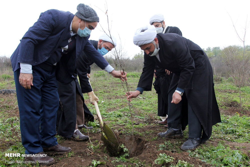 عکس/ درختکاری در طبیعت هزارپیچ گرگان