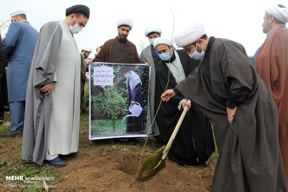 عکس/ درختکاری در طبیعت هزارپیچ گرگان