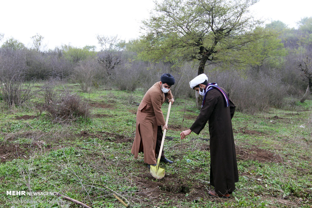 عکس/ درختکاری در طبیعت هزارپیچ گرگان