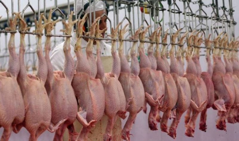 ۷۰ دلال گوشت مرغ در فارس شناسایی شدند