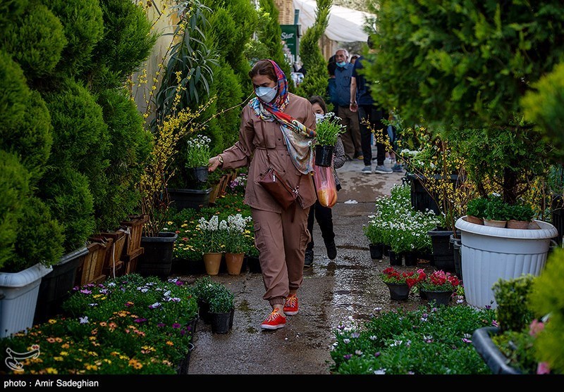 بازار فروش گل و گیاه در روزهای پایانی سال در شیراز