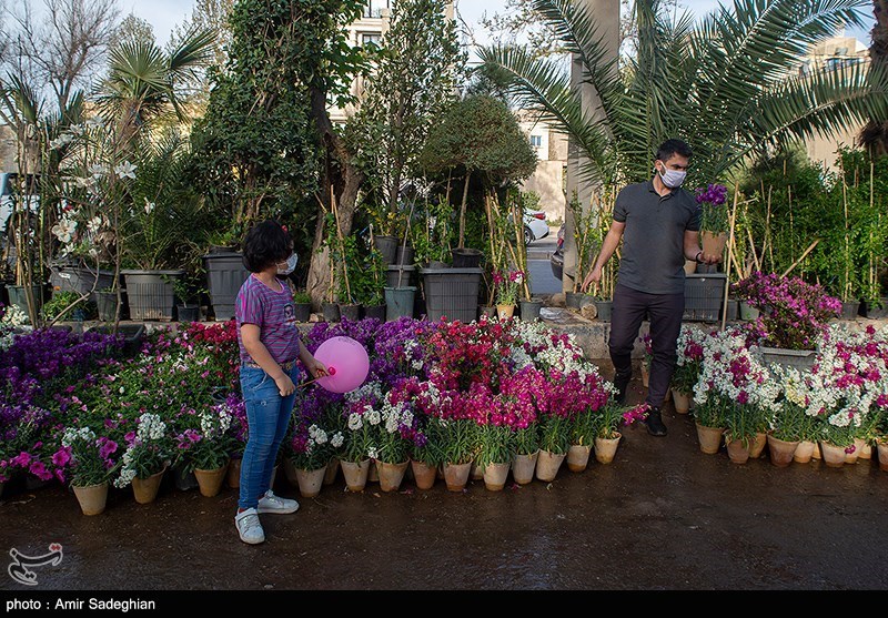 بازار فروش گل و گیاه در روزهای پایانی سال در شیراز