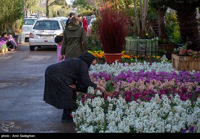 بازار فروش گل و گیاه در روزهای پایانی سال در شیراز