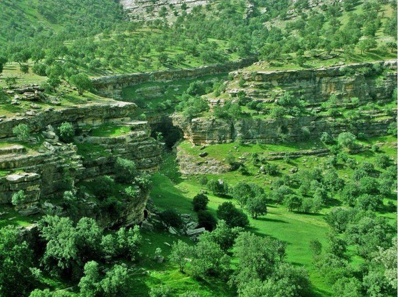 سرسبزی بدره در ایلام