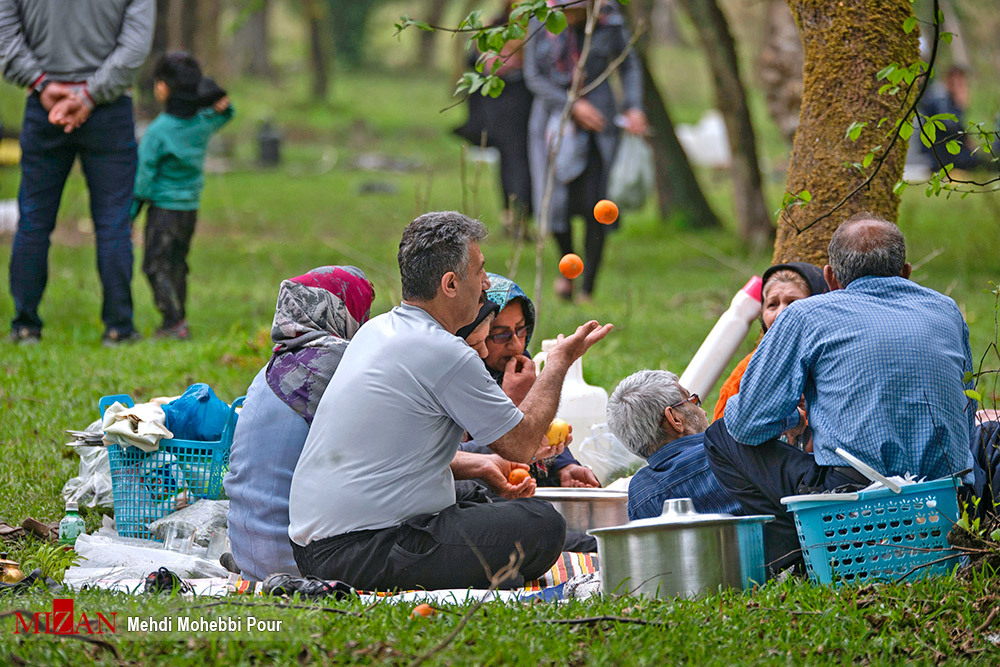 عکس/ روز طبیعت در جنگل های مازندران