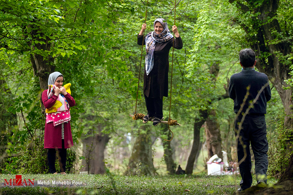 عکس/ روز طبیعت در جنگل های مازندران