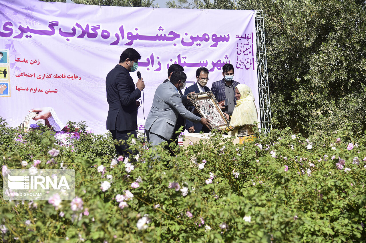 عکس/ برگزاری جشنواره گلاب‌گیری در زابل
