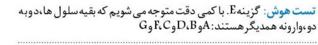 تست هوش را حل کنید