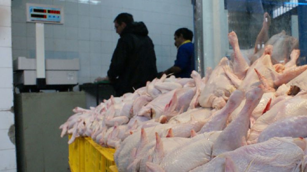 وعده جدید وزارت جهاد؛ بازار مرغ تا ۲ روز آینده به ثبات می‌رسد