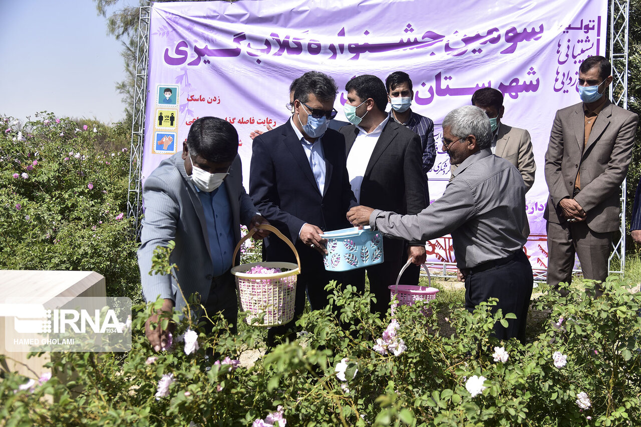 عکس/ برگزاری جشنواره گلاب‌گیری در زابل