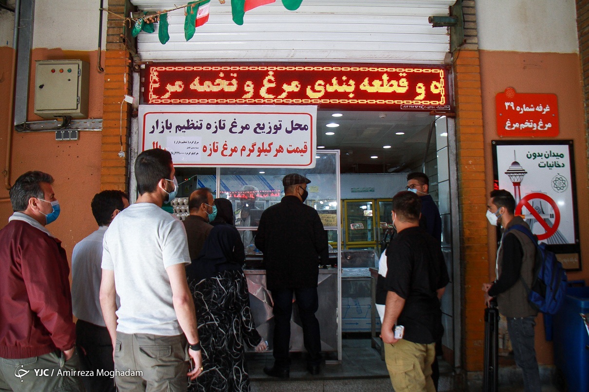 عکس/ افزایش عرضه مرغ پس از افزایش قیمت!