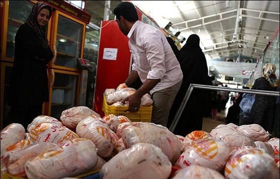 آغاز عرضه مرغ در خوزستان با نرخ مصوب جدید