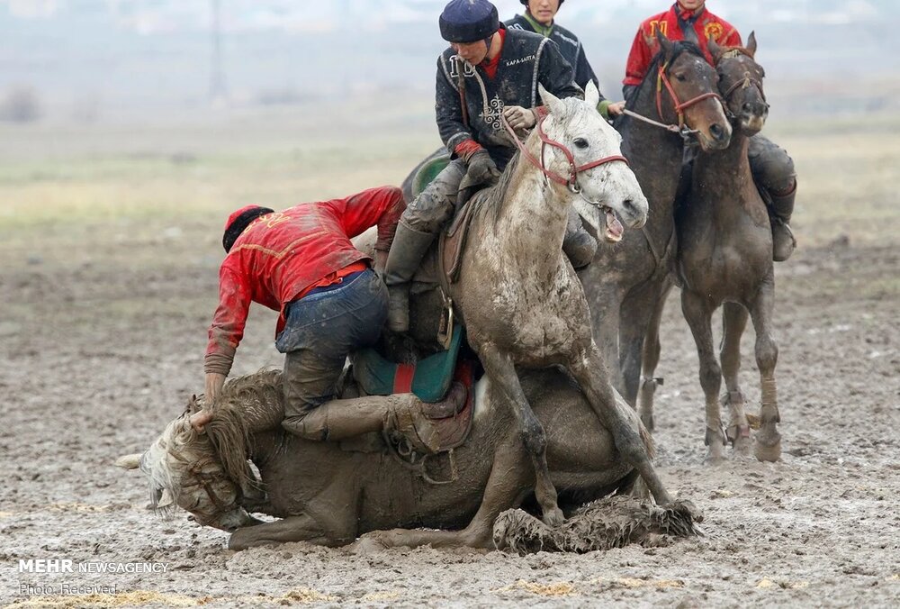عکس/ مسابقه بُزکشی در قرقیزستان