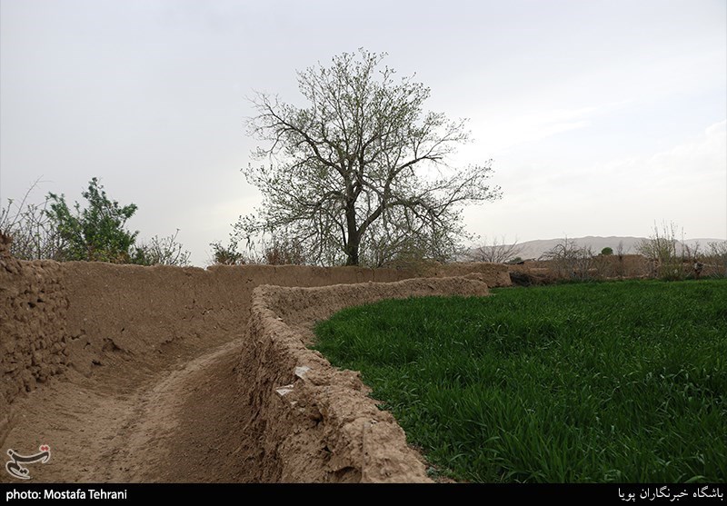 کوچه باغ های سمنان